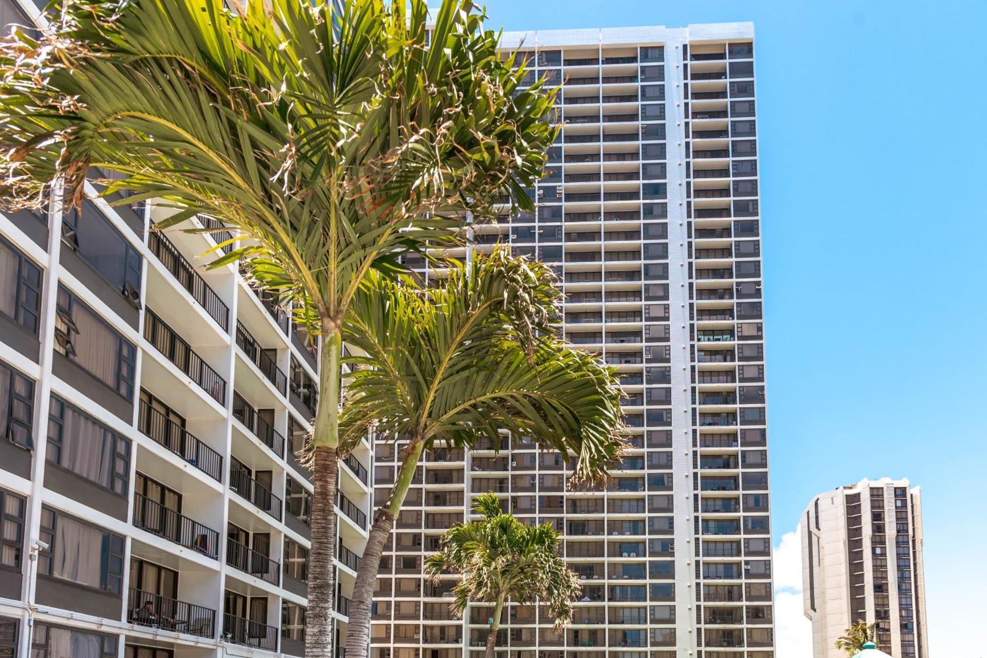 Cozy Waikiki Getaway, Stroll To Beach With Free Parking Honolulu Esterno foto